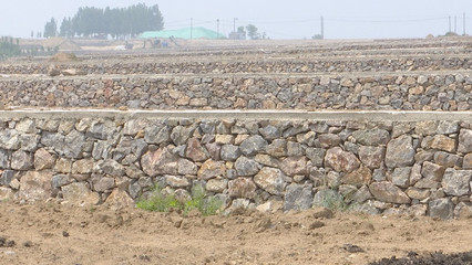 泰安新泰市樓德鎮 土地整理賦能特色產業，繪就鄉村振興新畫卷