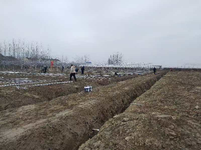 平整土地迎春耕 共創(chuàng)'姜'來(lái)好'錢'景 房地產(chǎn)開發(fā)