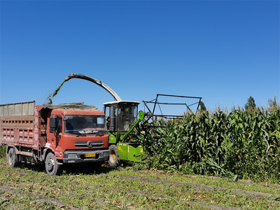 烏魯木齊市米東區(qū) 防疫生產(chǎn)雙線并進(jìn) 農(nóng)產(chǎn)品運(yùn)輸銷售與房地產(chǎn)開發(fā)共繪發(fā)展藍(lán)圖